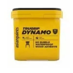 Asian Paints Trugrip Dynamo clear adhesive 2kg