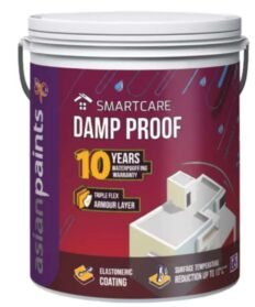 Asian Paints Dampproof Normal exterior damp-sheath primer 20 litre
