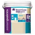 Asian Paints SmartCare interior damp-sheath primer 10 litre