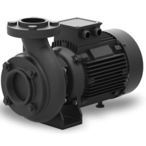 Lubi LBI 101H 3HP Single Phase Monoblock Pump