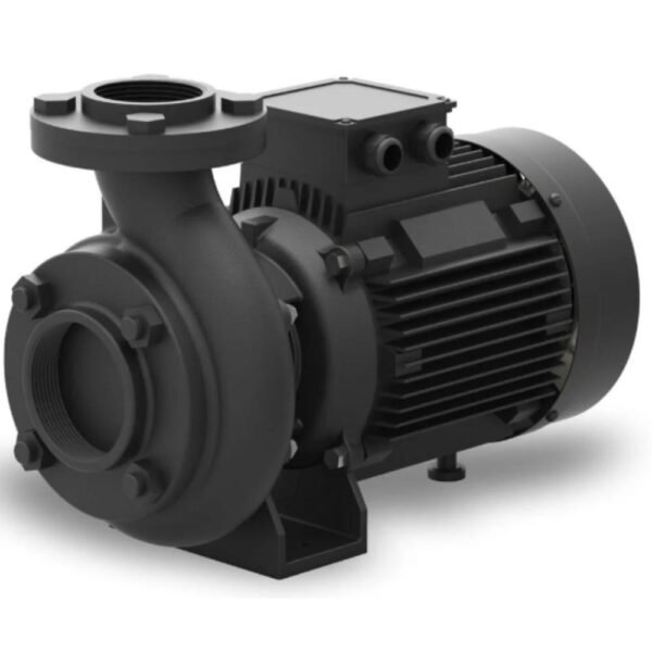 Lubi LBI 101H 3HP Single Phase Monoblock Pump