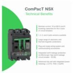 schneider-electric-easypact-pole-mccb-lv429387 (1)
