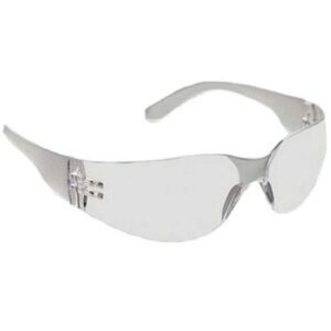 Venus G102 Polycarbonate Lens Clear Eye Protection Goggles Pack of 10